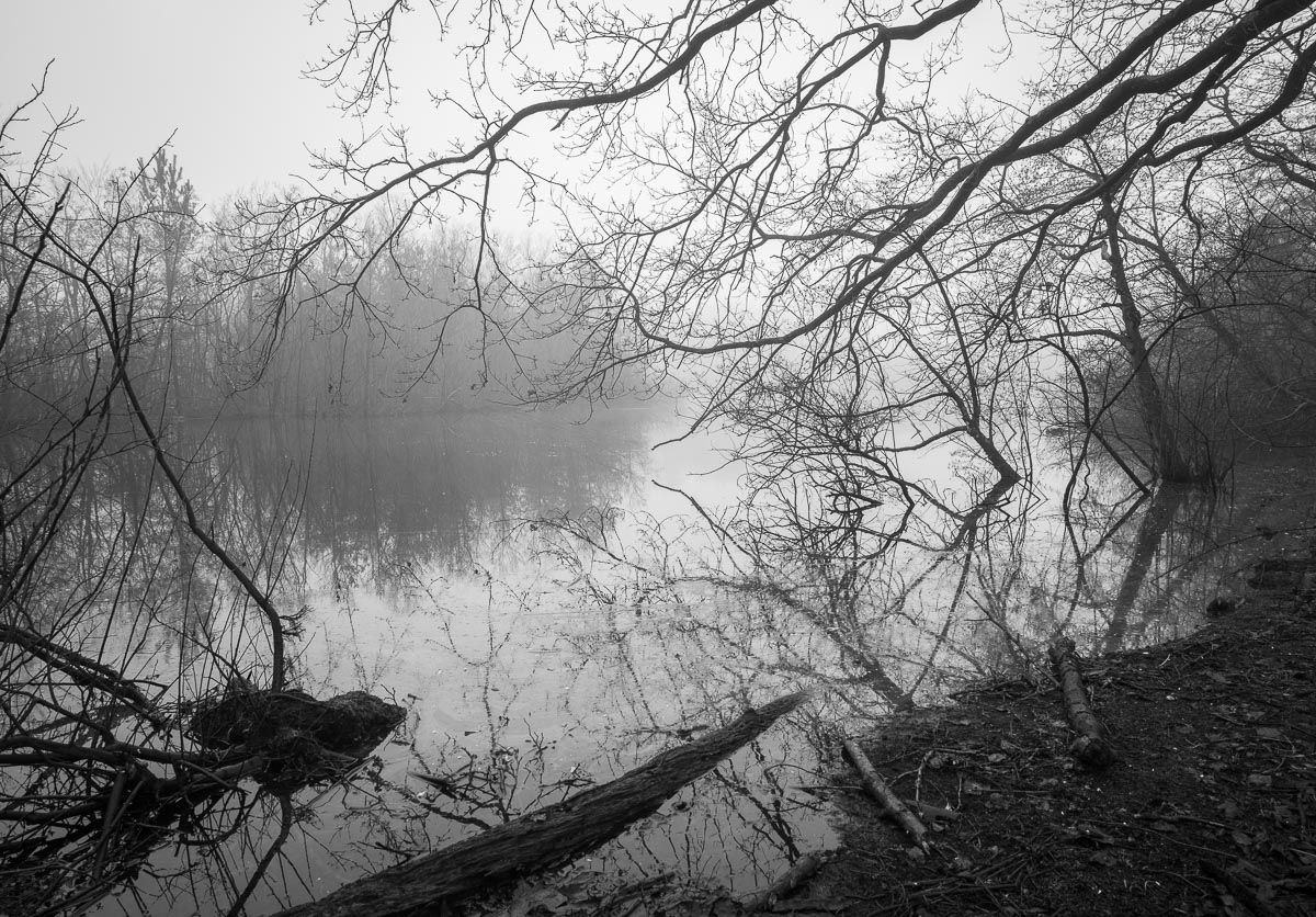Bleekemeer, Uddel, Netherlands