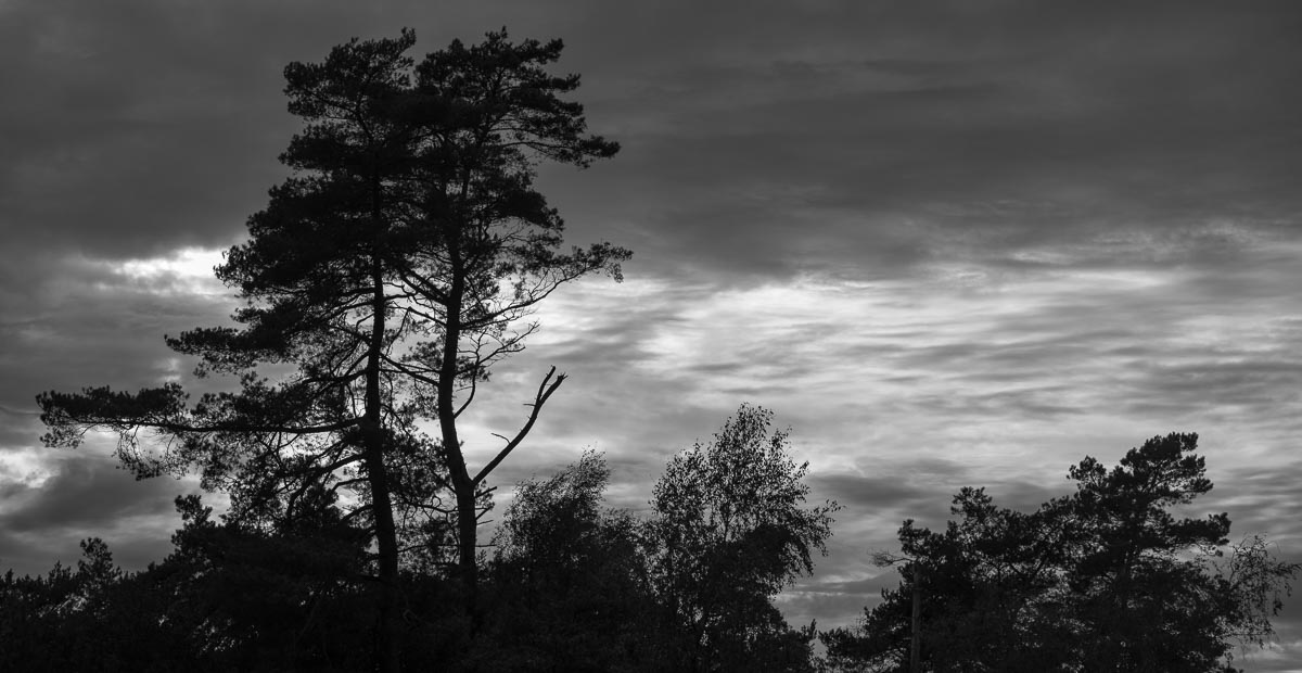 Kootwijkerzand, Netherlands