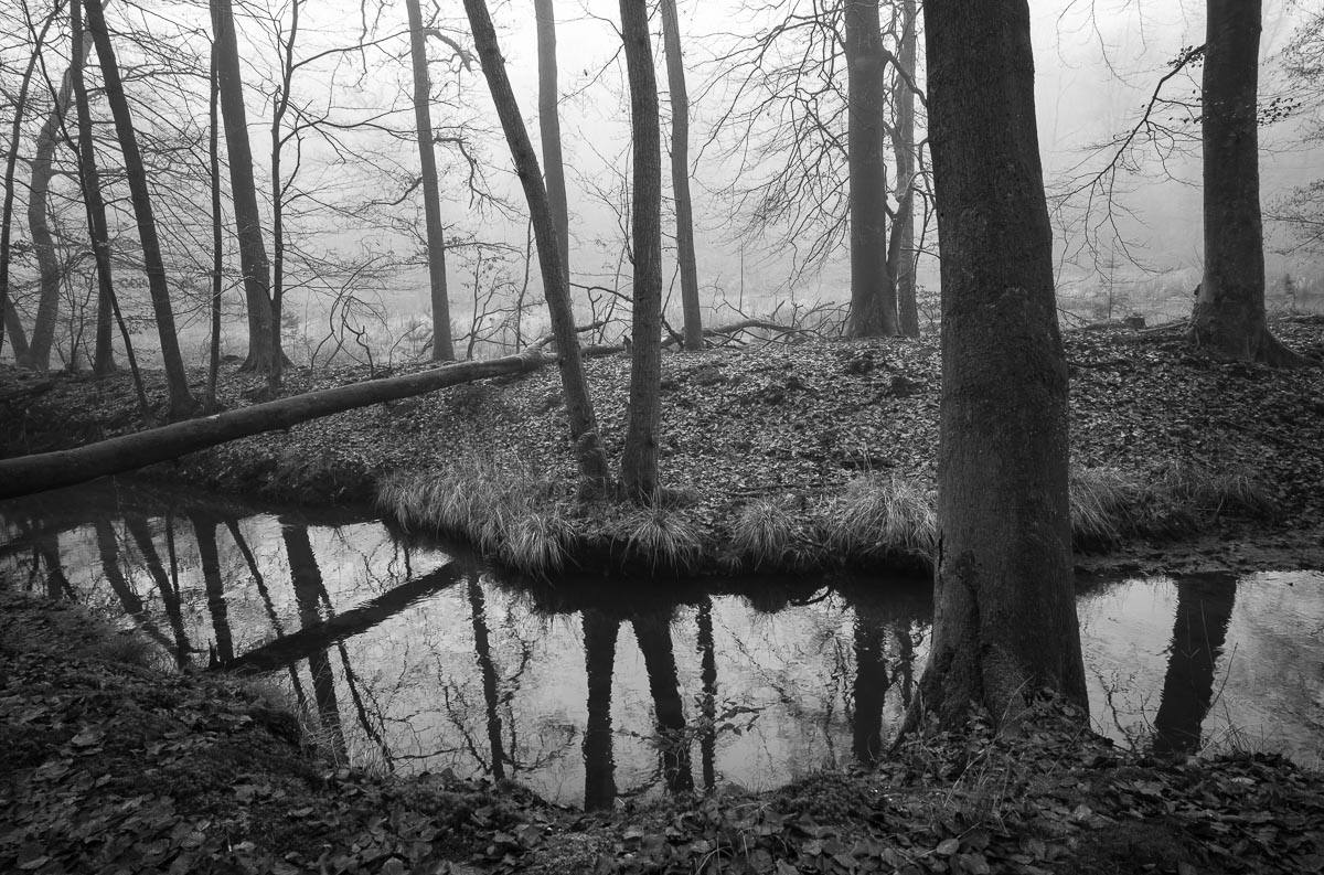 Leuvenum, Netherlands