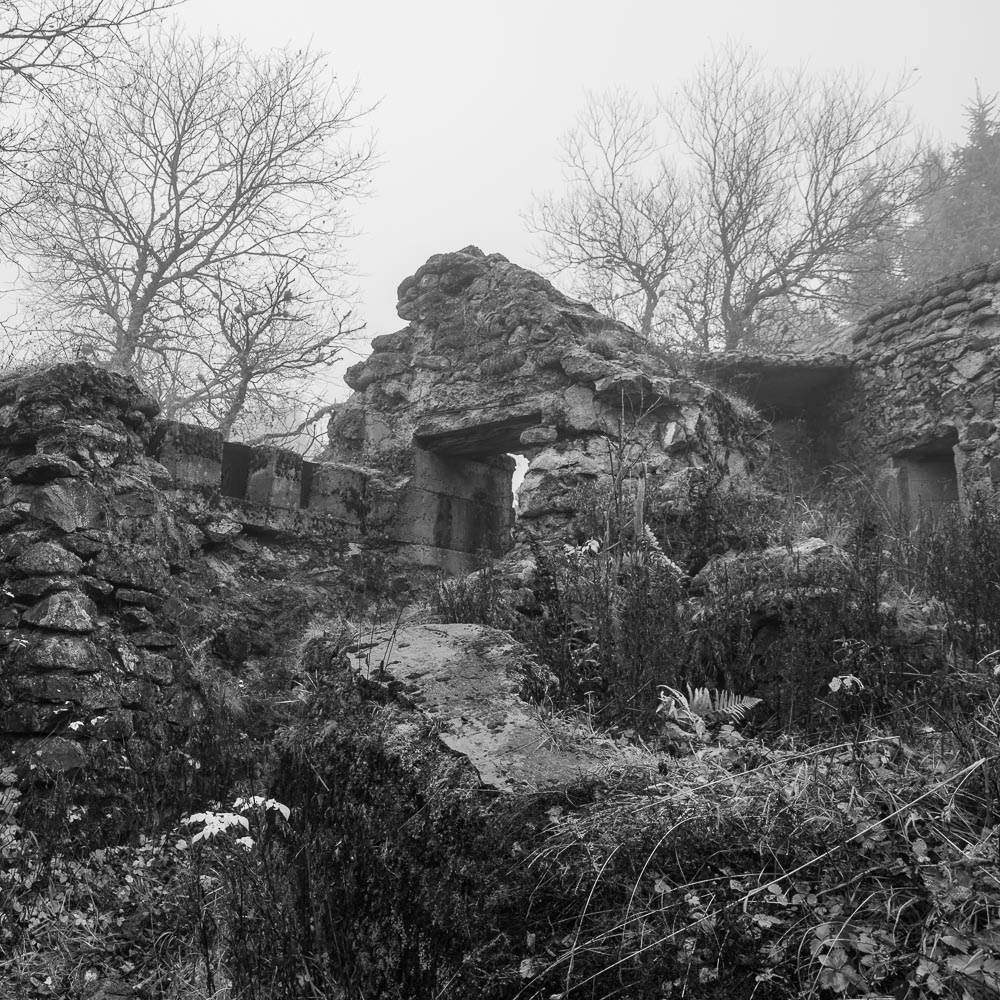 La Tête des Faux / Buchenkopf